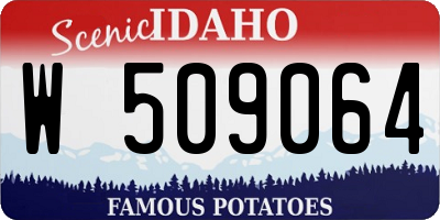 ID license plate W509064