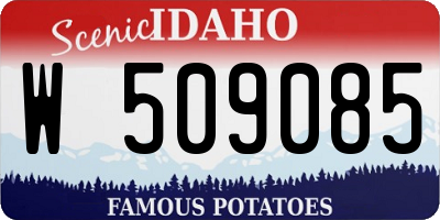 ID license plate W509085