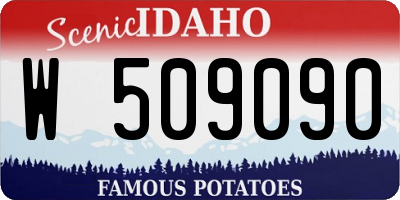 ID license plate W509090