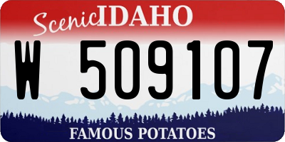 ID license plate W509107