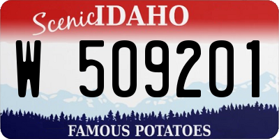 ID license plate W509201