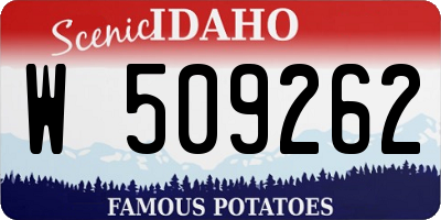 ID license plate W509262