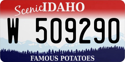 ID license plate W509290