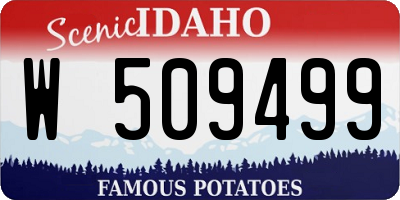 ID license plate W509499