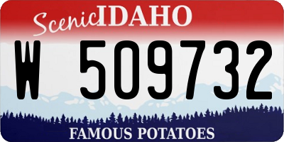 ID license plate W509732