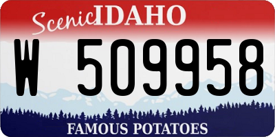 ID license plate W509958