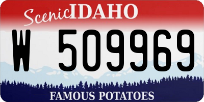 ID license plate W509969