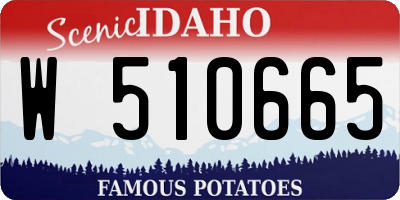 ID license plate W510665