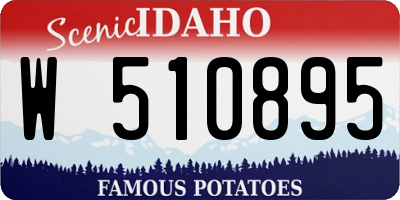 ID license plate W510895