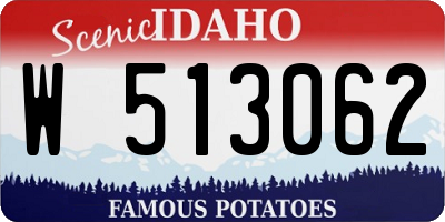 ID license plate W513062