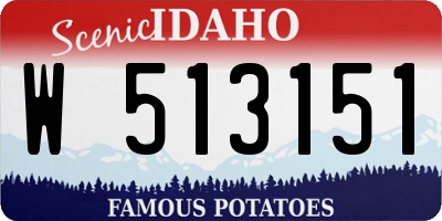 ID license plate W513151