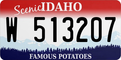 ID license plate W513207