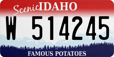 ID license plate W514245