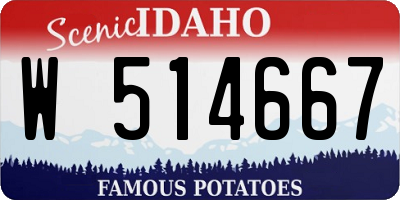 ID license plate W514667