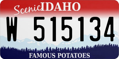 ID license plate W515134
