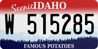 ID license plate W515285