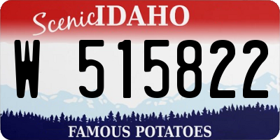 ID license plate W515822