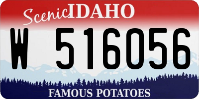 ID license plate W516056
