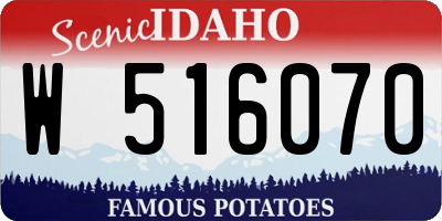 ID license plate W516070