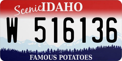 ID license plate W516136