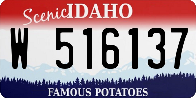 ID license plate W516137