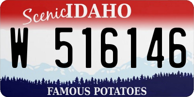 ID license plate W516146