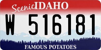 ID license plate W516181