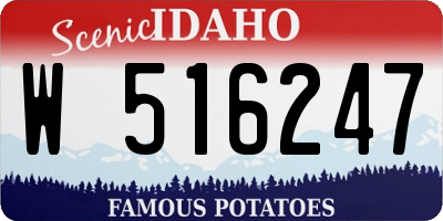 ID license plate W516247