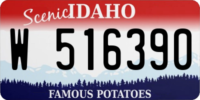 ID license plate W516390