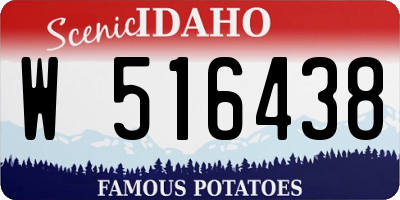 ID license plate W516438