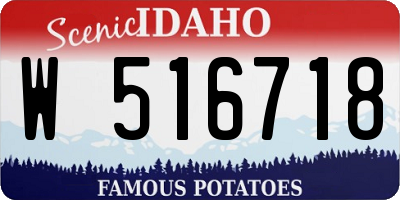 ID license plate W516718