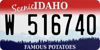 ID license plate W516740