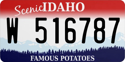 ID license plate W516787