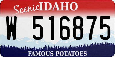 ID license plate W516875