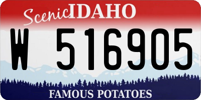 ID license plate W516905