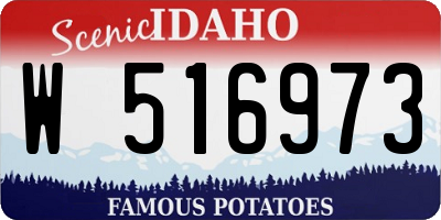 ID license plate W516973