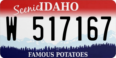 ID license plate W517167
