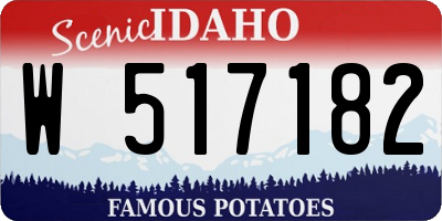 ID license plate W517182