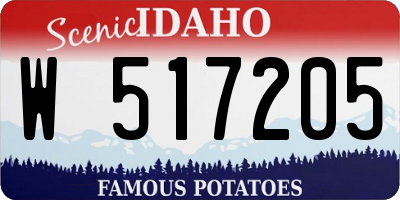 ID license plate W517205