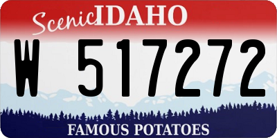 ID license plate W517272