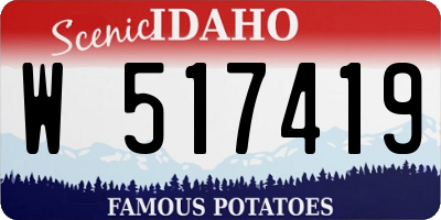 ID license plate W517419