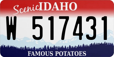 ID license plate W517431