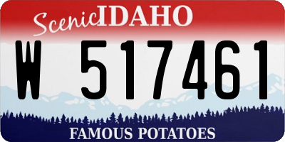ID license plate W517461
