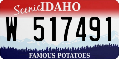 ID license plate W517491