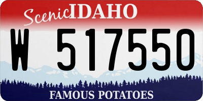 ID license plate W517550