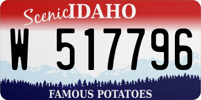 ID license plate W517796