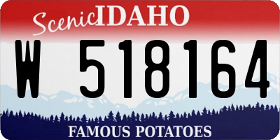 ID license plate W518164