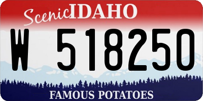 ID license plate W518250