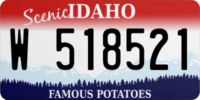 ID license plate W518521