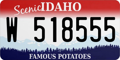 ID license plate W518555